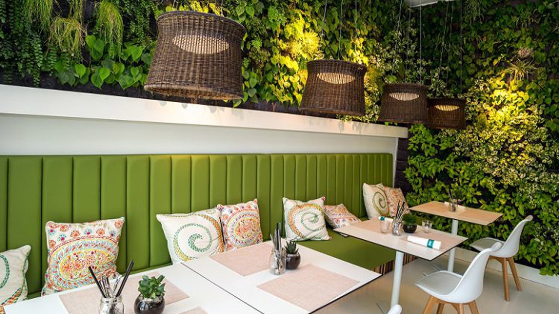 Indoor Gardening – Grüne Innenraumgestaltung, die einen Unterschied