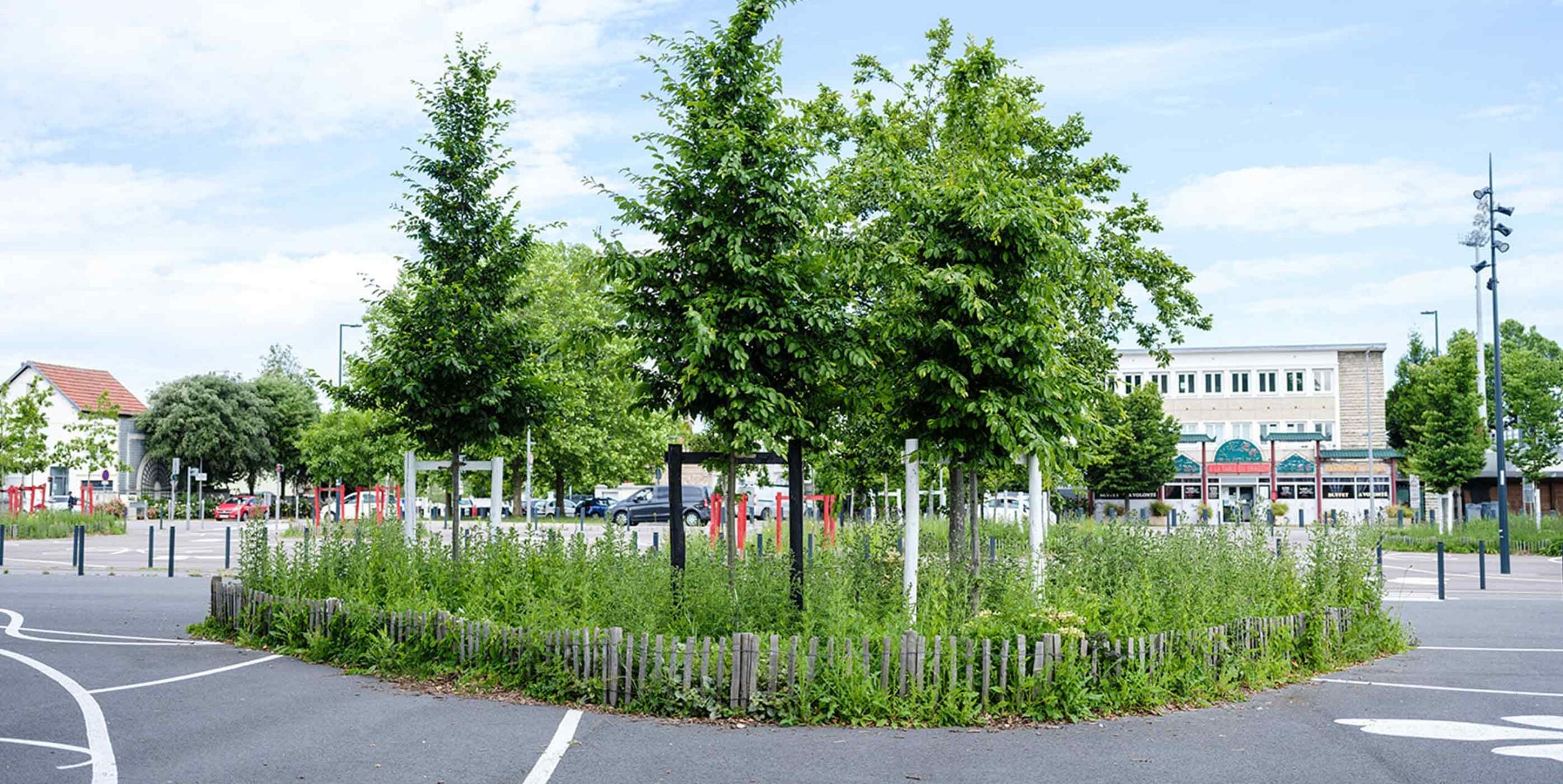 Begrünte Verkehrsinsel mit jungen Bäumen und Wildblumenwiese auf Parkplatz im Stadtgebiet