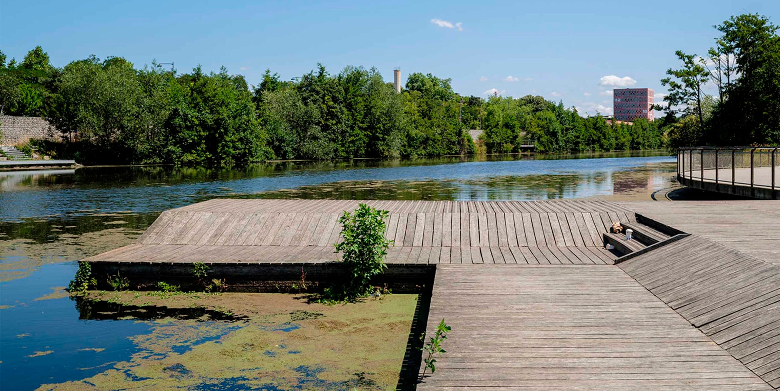Holzsteg über naturnahem Wasserbecken im Stadtpark, umgeben von dichter Ufervegetation