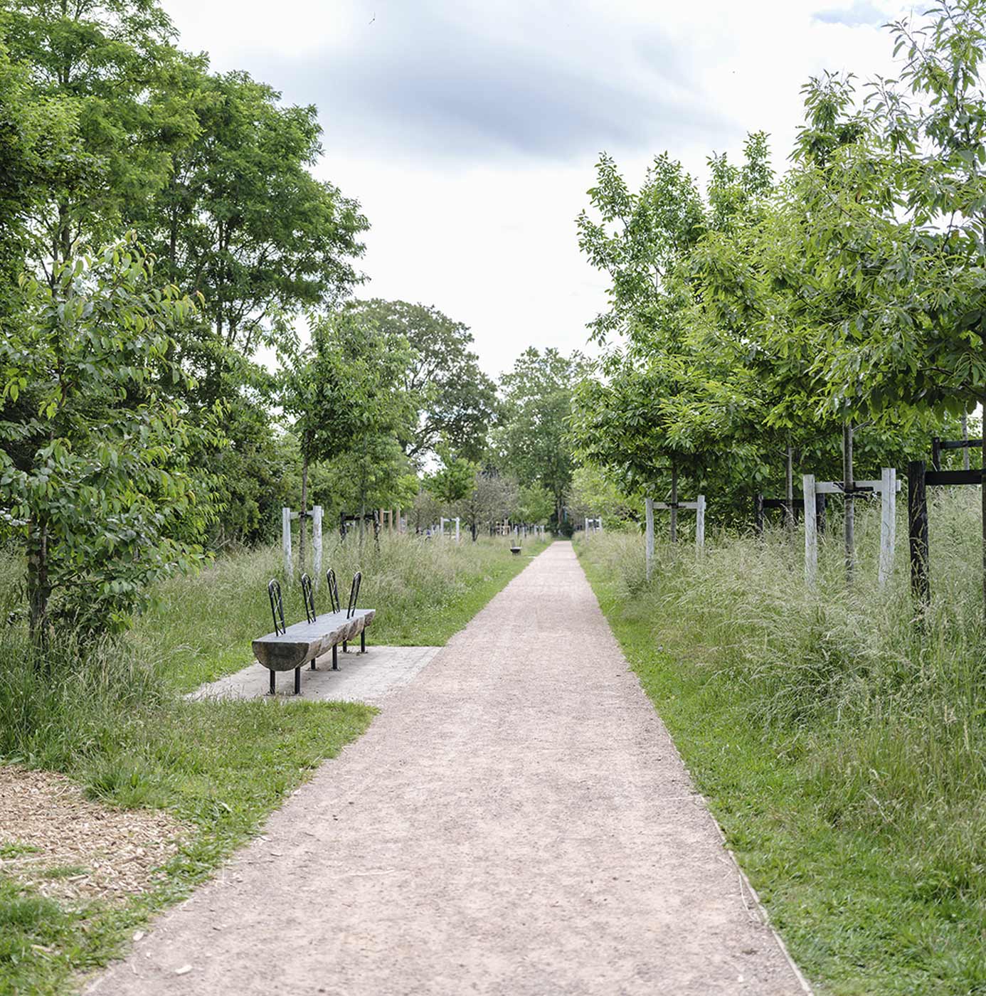 Sandweg durch gepflegte Parkanlage mit Baumreihen, Sitzbank und Wildblumenwiese am Wegrand