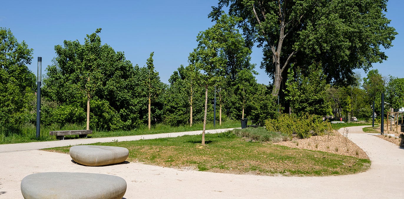 Parkanlage mit geschwungenem Kieselweg, jungen Bäumen, Sitzsteinen und gepflegten Grünflächen im Sonnenlicht