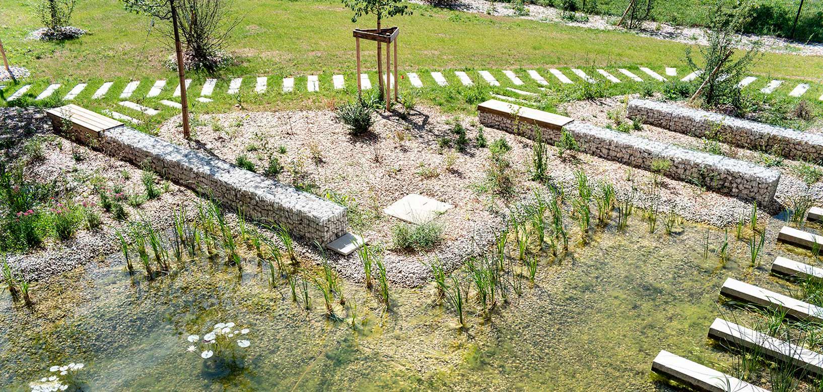 Naturschwimmteich mit Gabionenmauern, Sitzbänken und Kies-Staudenbeeten im naturnahen Gartenbau