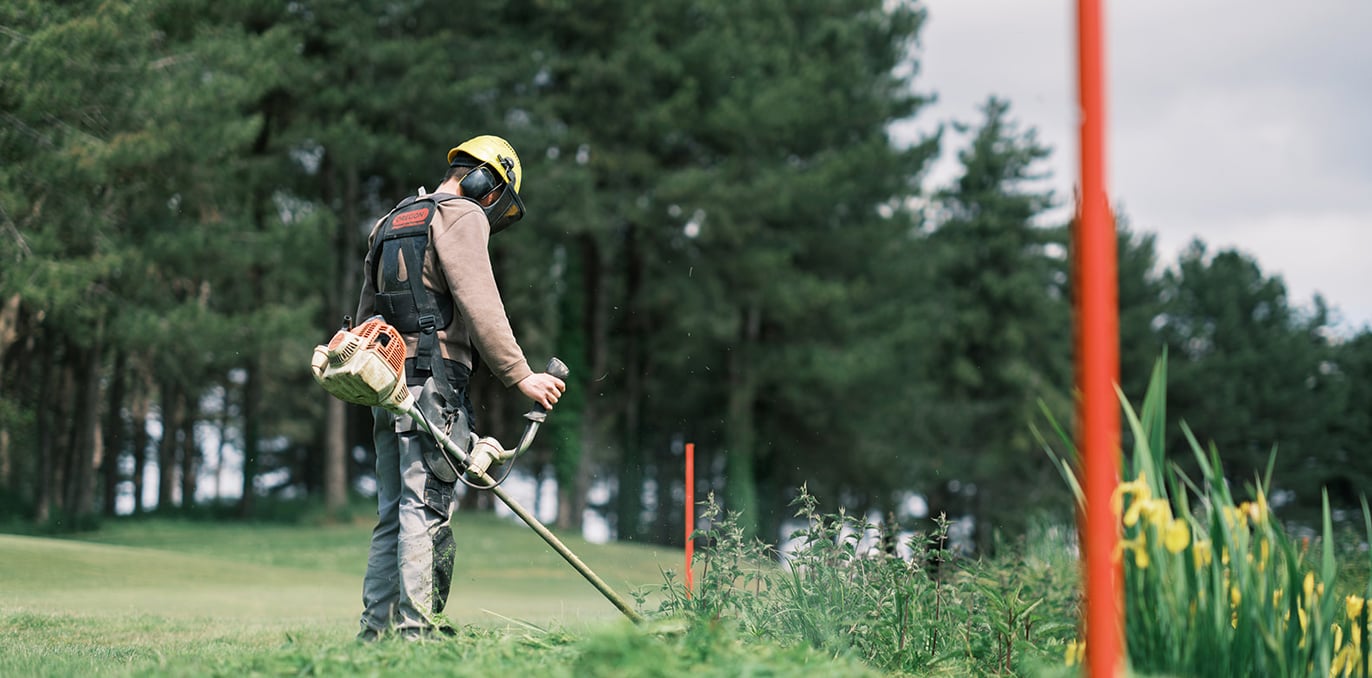 Landschaftsgärtner mit Freischneider und Gehörschutz pflegt Rasenkante am Wegrand vor Nadelbäumen
