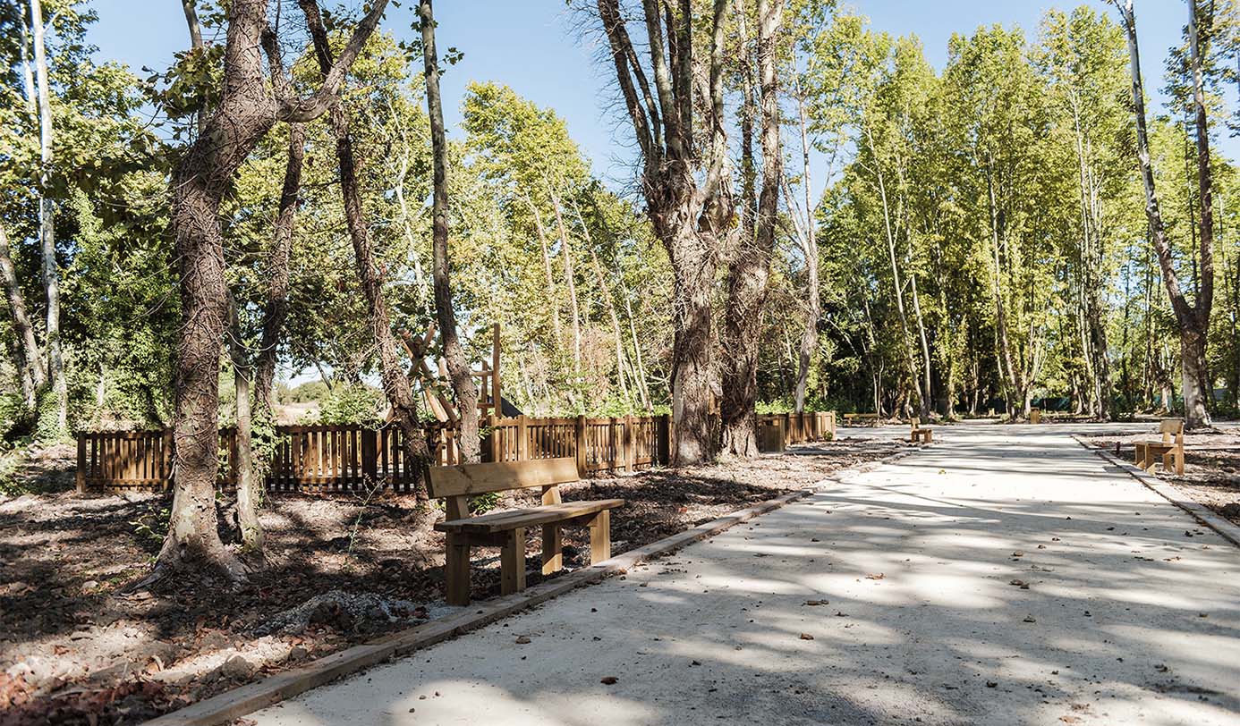 Sonniger Parkweg mit Holzbank, Zaun und hohen Bäumen im gepflegten Grünbereich
