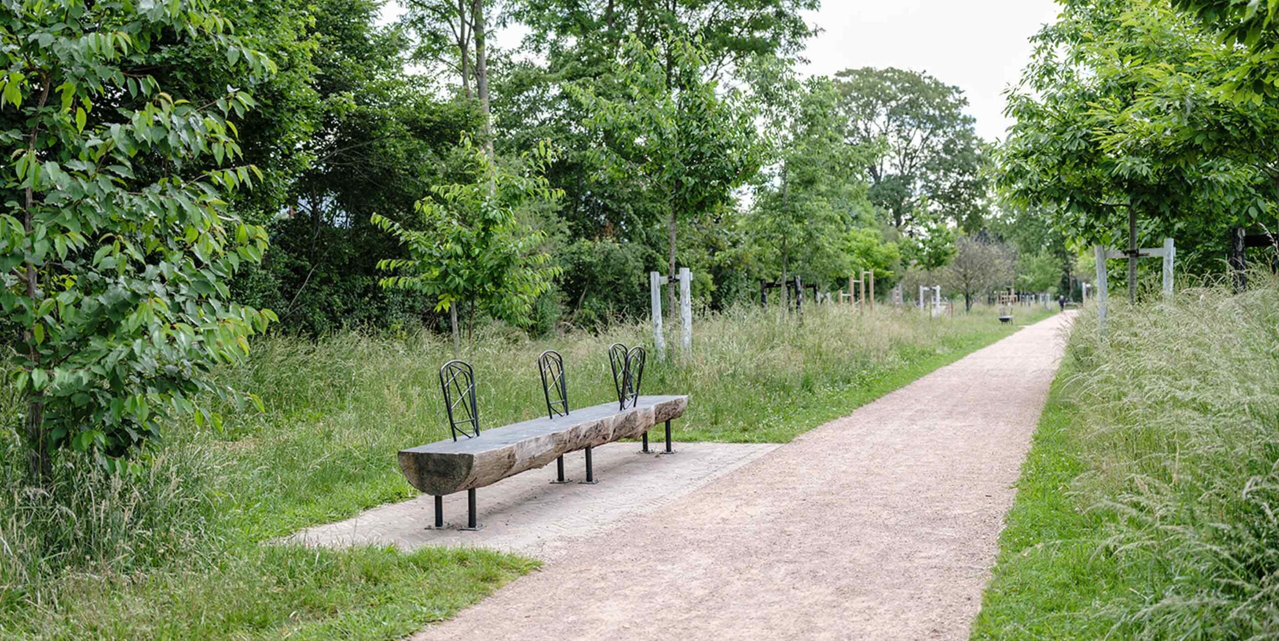 Naturbelassener Holzstamm als Sitzbank mit Metallgeländer am Wanderweg zwischen Wiesen und Bäumen