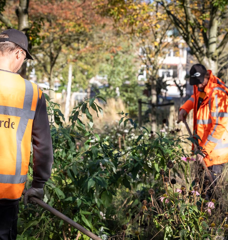 idverde-Mitarbeiter in orangen Sicherheitswesten pflegen Grünflächen mit Staudenbeeten im Herbstlaub