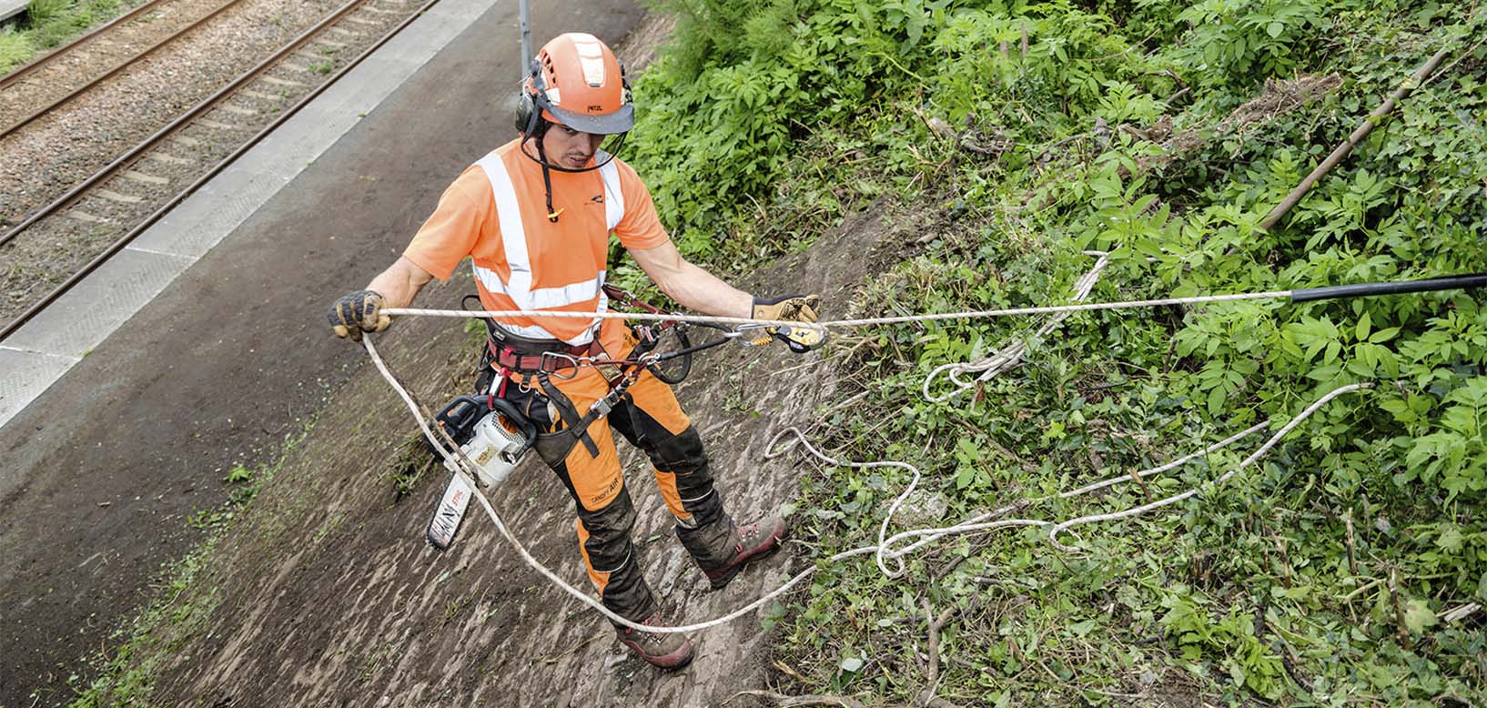 Baumpfleger mit Sicherheitsausrüstung und Motorsäge klettert an Böschung neben Bahngleisen